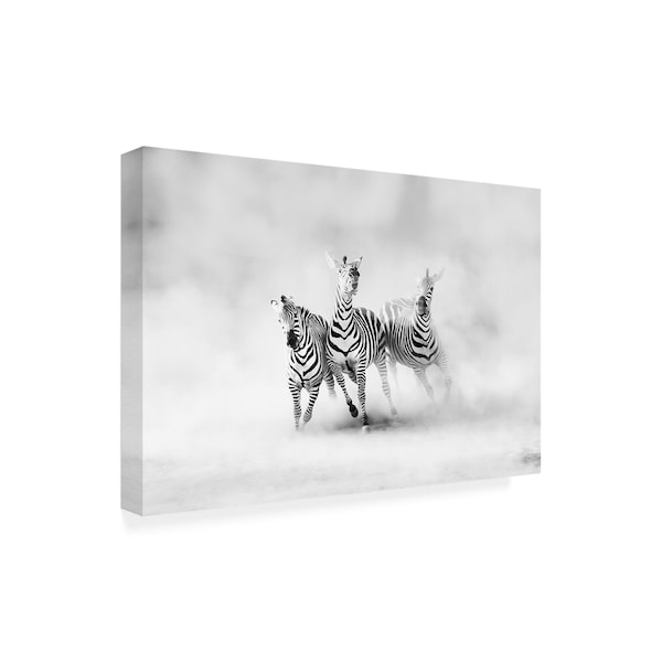 Juan Luis Duran 'Three Zebras' Canvas Art,22x32